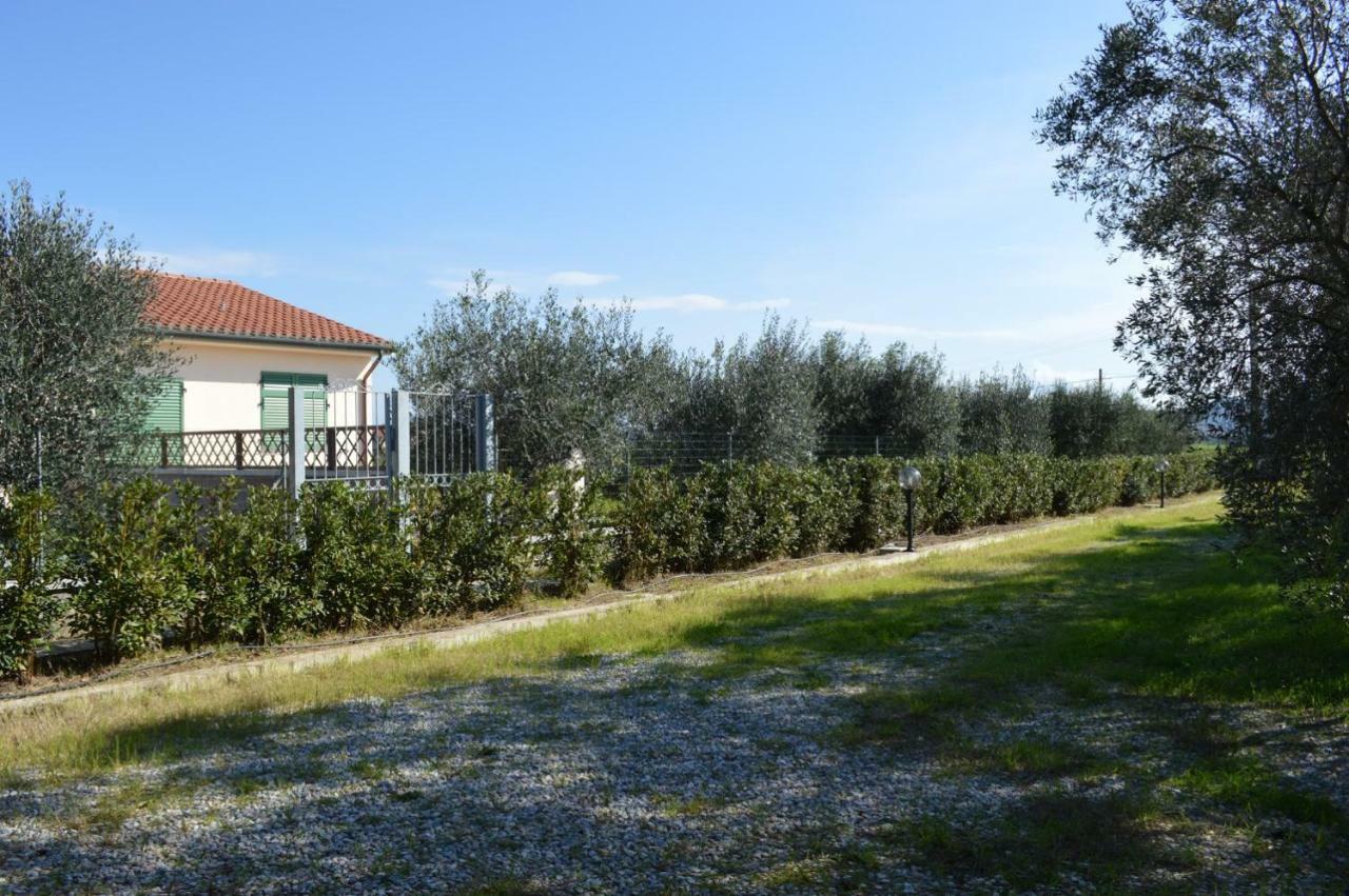 Agriturismo Olivomare Piombino Eksteriør bilde